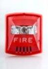 Horn Strobe
