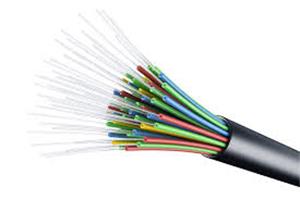 Fiber