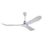 Ceiling Fans