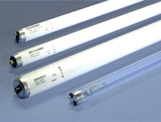 T-12 Lamps