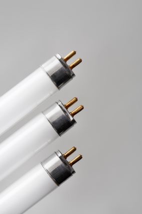 T-5 Lamps