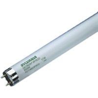 T-8 Lamps