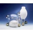 Lamps & Ballast