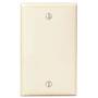 Blank Plates Plastic